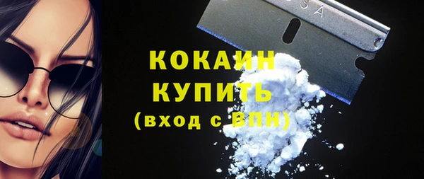 дживик Верхний Тагил