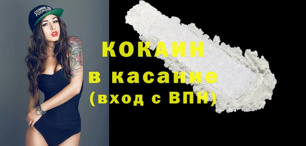 дживик Верхний Тагил