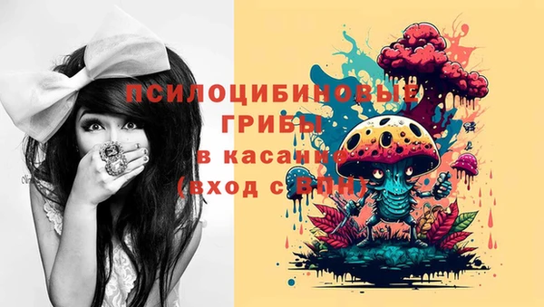 a pvp Верея