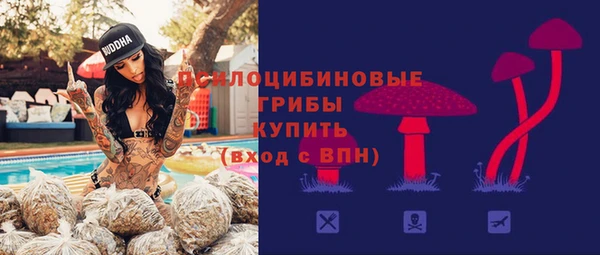 COCAINE Бородино