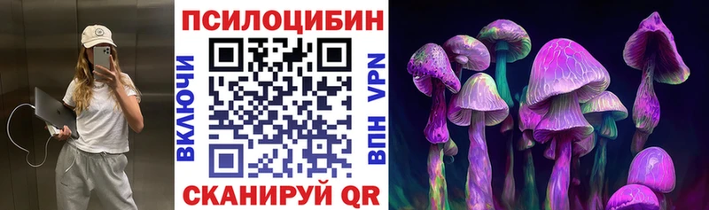 Галлюциногенные грибы Psilocybe  mega как зайти  Красногорск 